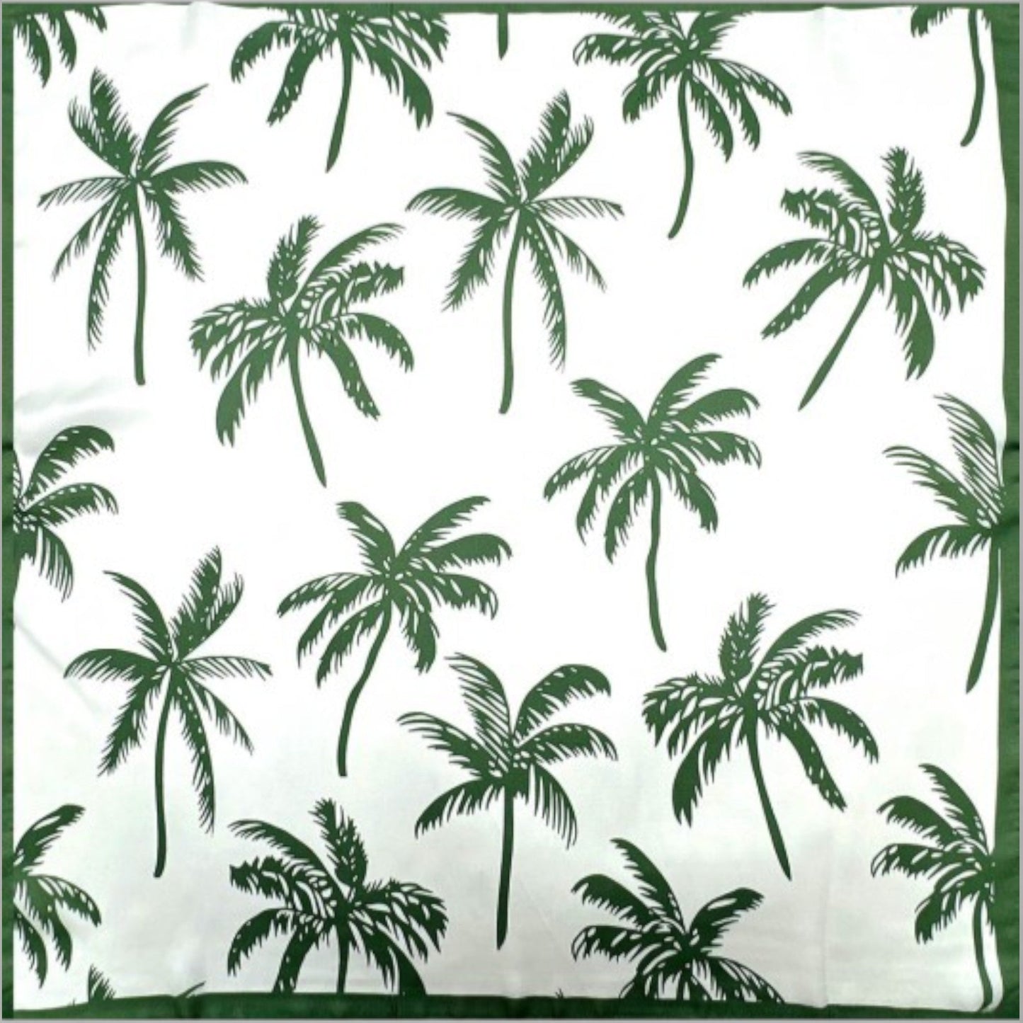 Palm